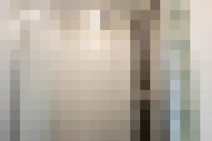 Bannewaard 66 Alkmaar thumbnail 36