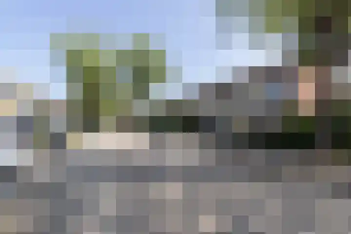 Bannewaard 66 Alkmaar thumbnail 40