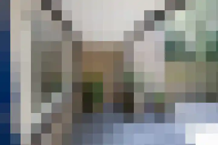 Bannewaard 66 Alkmaar thumbnail 9