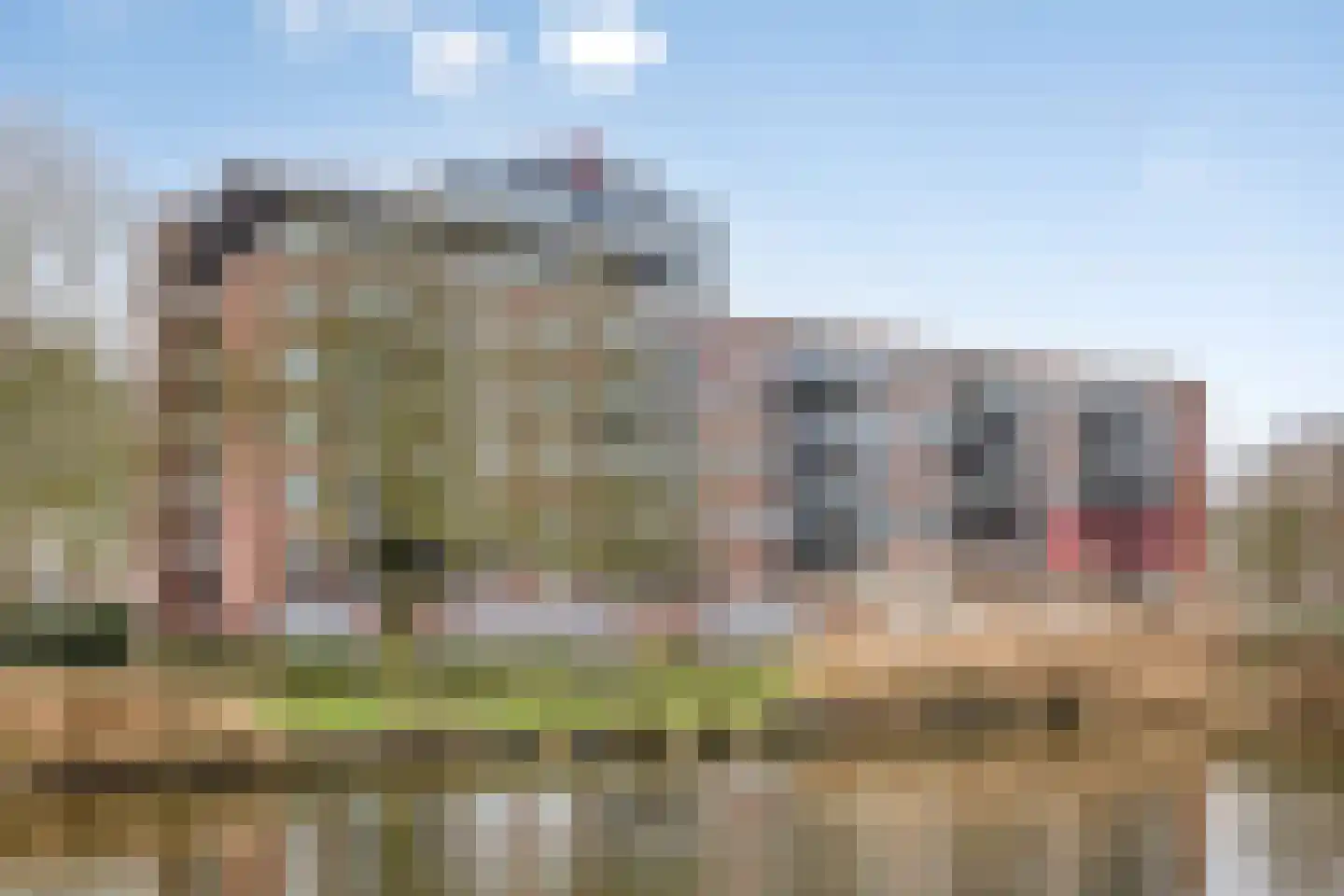 Banneweg 219 Gorinchem