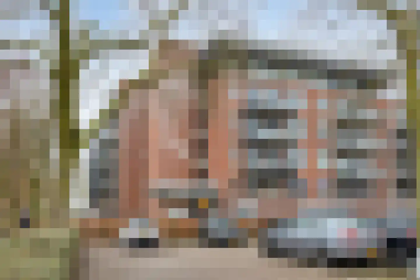 Banneweg 219 Gorinchem thumbnail 22