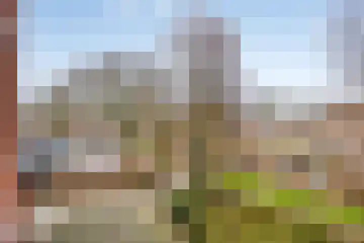 Banneweg 219 Gorinchem thumbnail 5