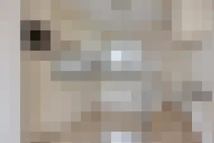Banneweg 219 Gorinchem thumbnail 9