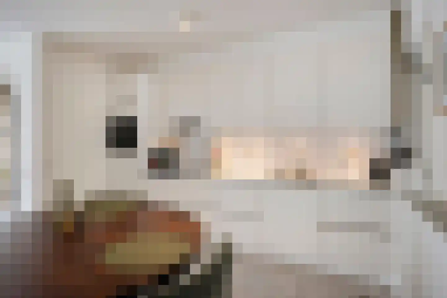 Banniersborg 5 Maastricht thumbnail 13