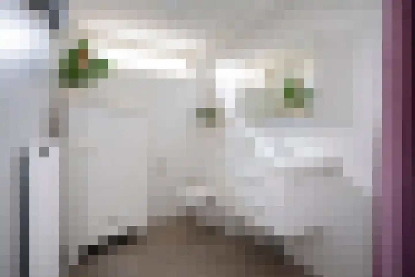 Banniersborg 5 Maastricht thumbnail 29