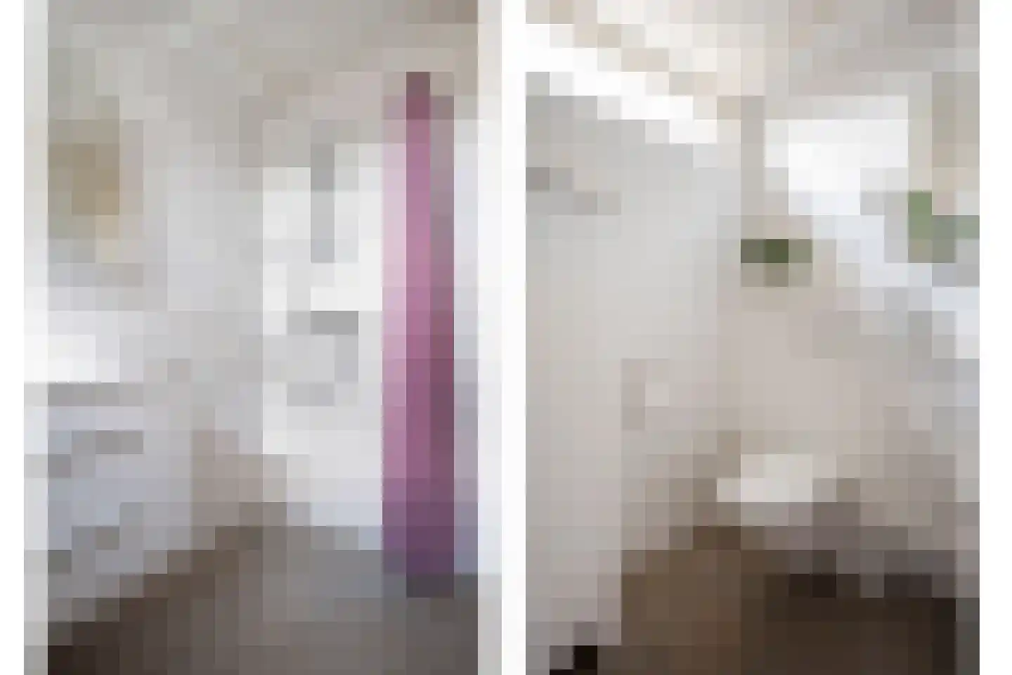 Banniersborg 5 Maastricht thumbnail 30
