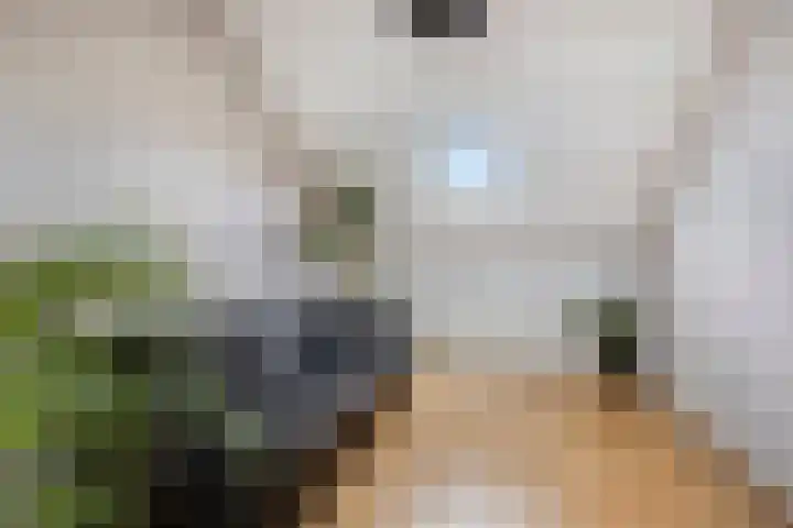 Banning Cocqgracht 86 Purmerend thumbnail 28