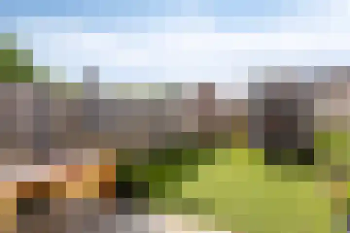Banning Cocqgracht 86 Purmerend thumbnail 40