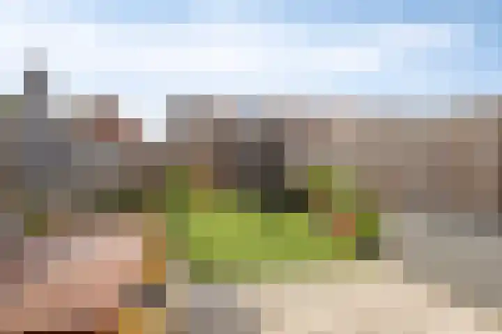 Banning Cocqgracht 86 Purmerend thumbnail 41