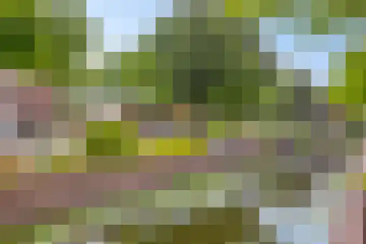 Banning Cocqgracht 86 Purmerend thumbnail 42