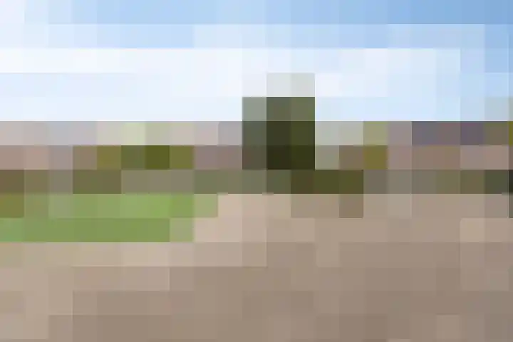 Banning Cocqgracht 86 Purmerend thumbnail 47
