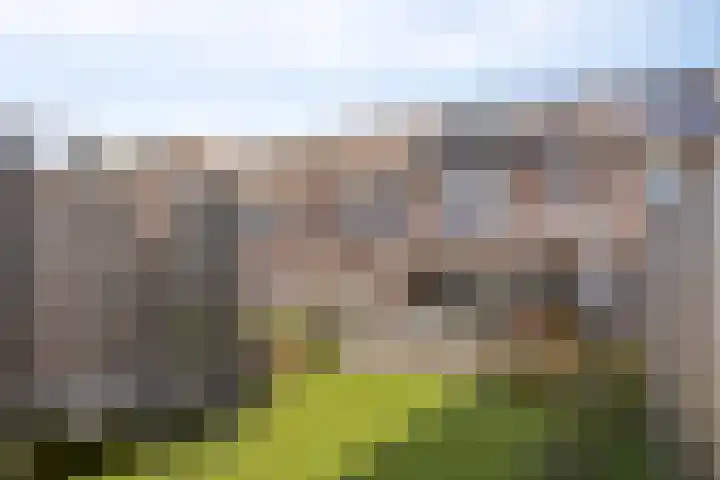 Banning Cocqgracht 86 Purmerend thumbnail 5