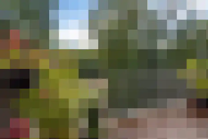 Banningstraat 2 D 01 Soesterberg thumbnail 13
