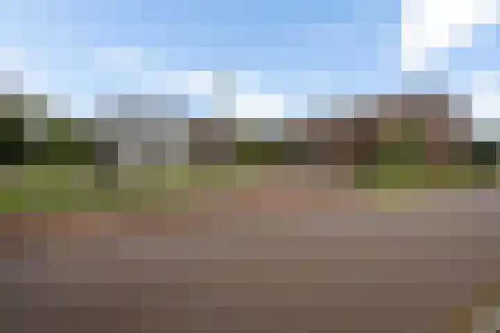 Banningstraat 2 D 01 Soesterberg thumbnail 27
