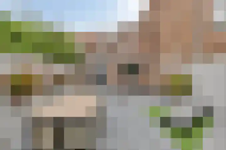 Banningstraat 24 Tilburg thumbnail 33