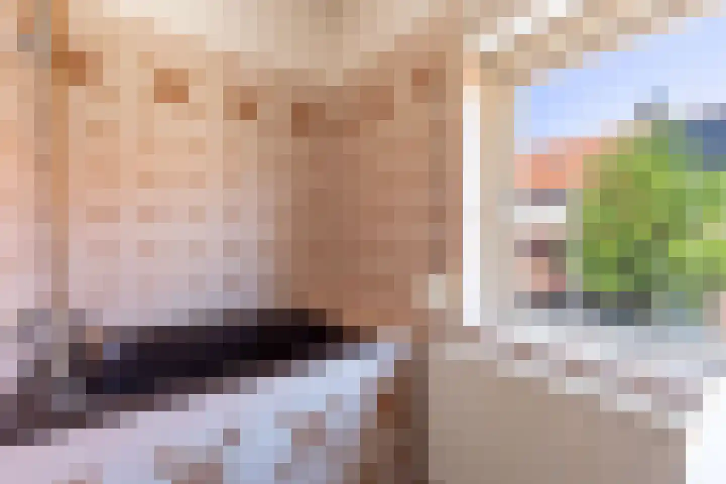 Banningstraat 26 Tilburg thumbnail 12