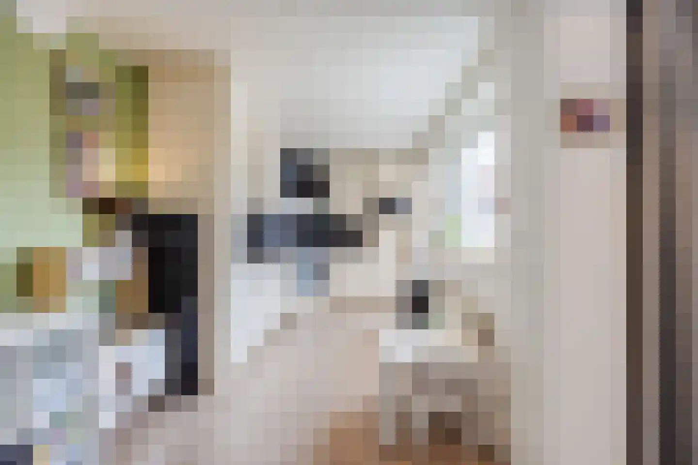 Banningstraat 28 Tilburg thumbnail 11