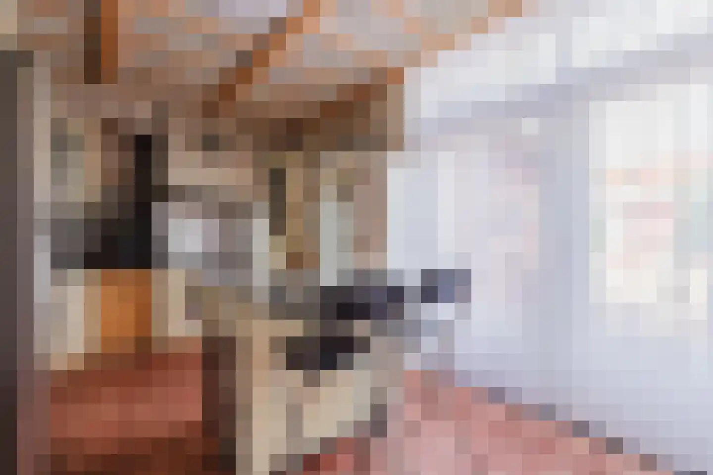 Banningstraat 35 Tilburg thumbnail 13