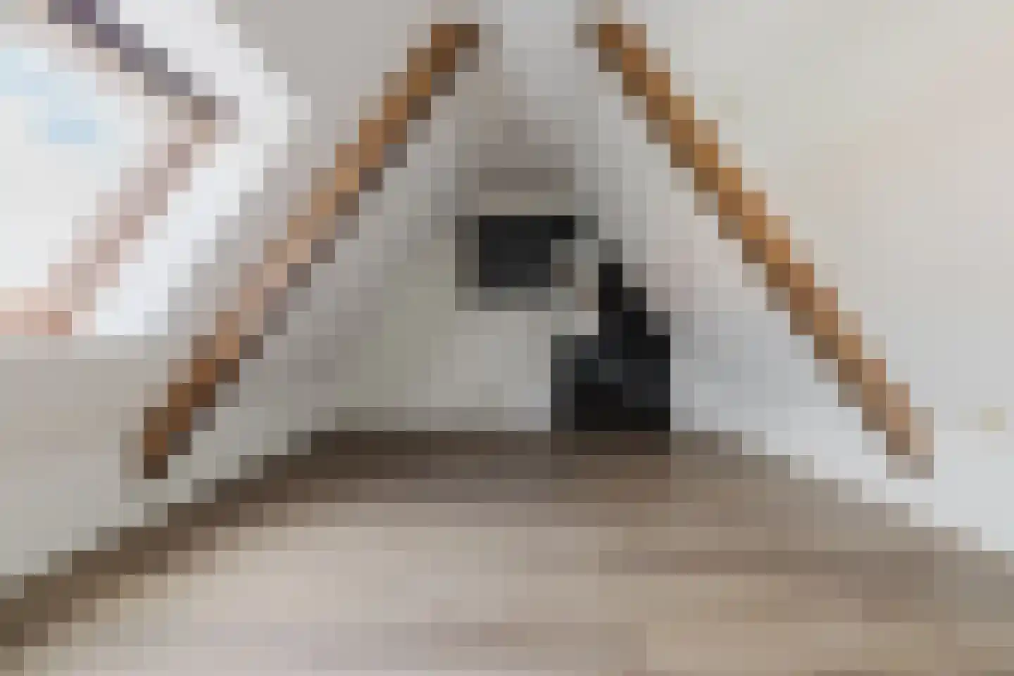 Banningstraat 35 Tilburg thumbnail 33