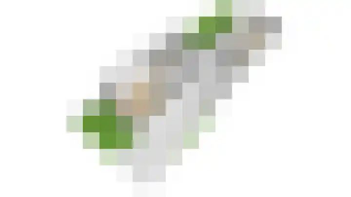 Banningweg 6 Groenlo thumbnail 40