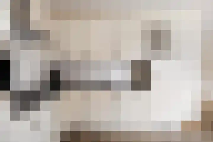 Banninkskamp 15 Borculo thumbnail 11