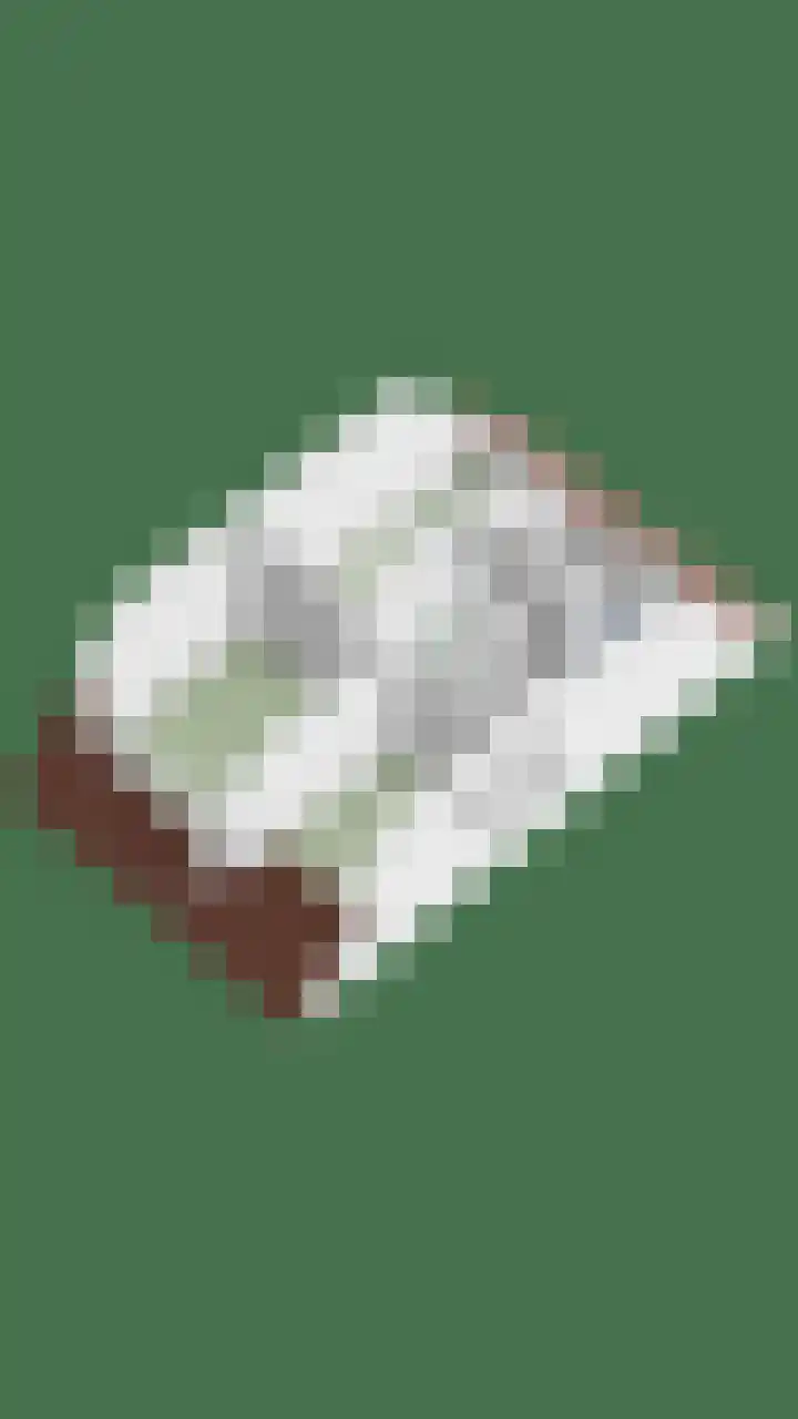 Banninkskamp 15 Borculo thumbnail 33