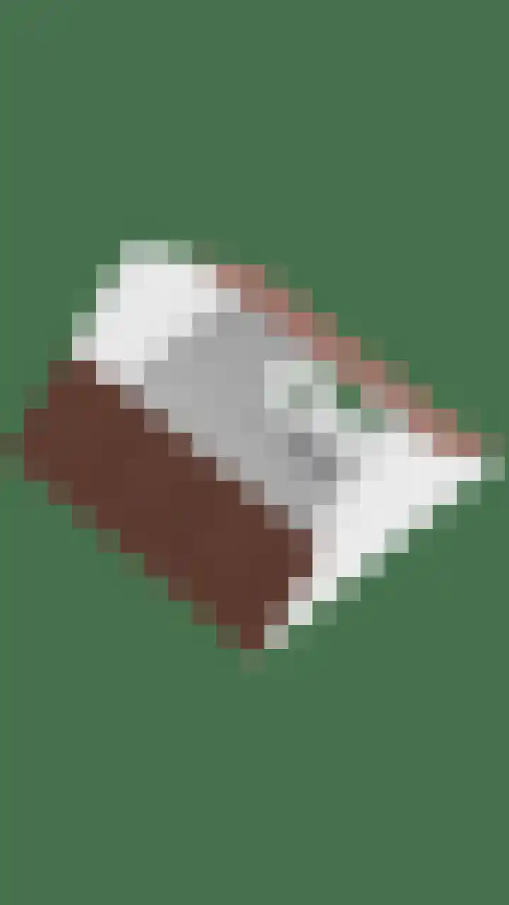 Banninkskamp 15 Borculo thumbnail 34