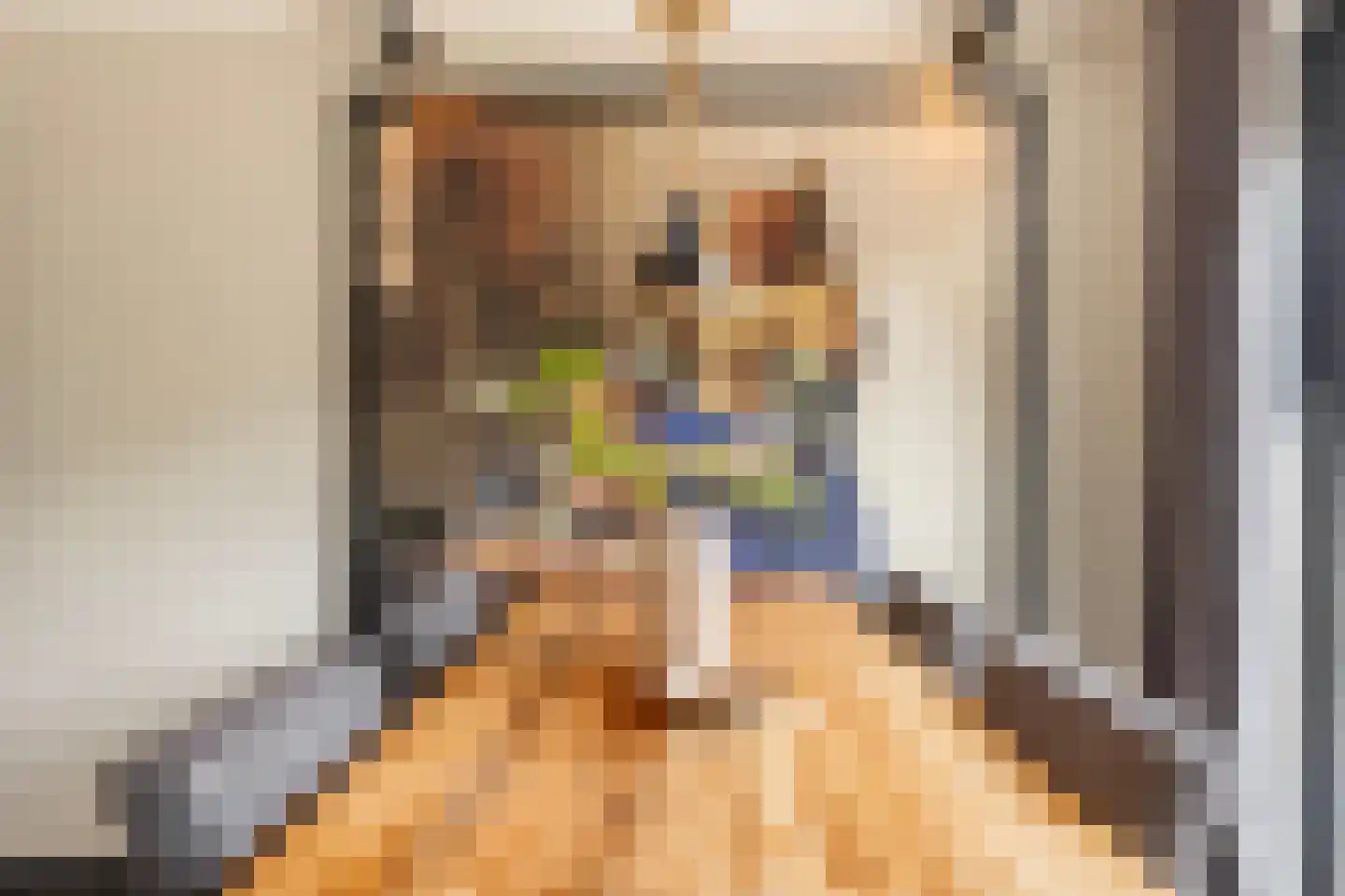Banninkskamp 20 Borculo thumbnail 17