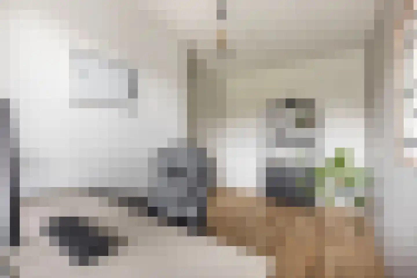 Banninkskamp 20 Borculo thumbnail 28