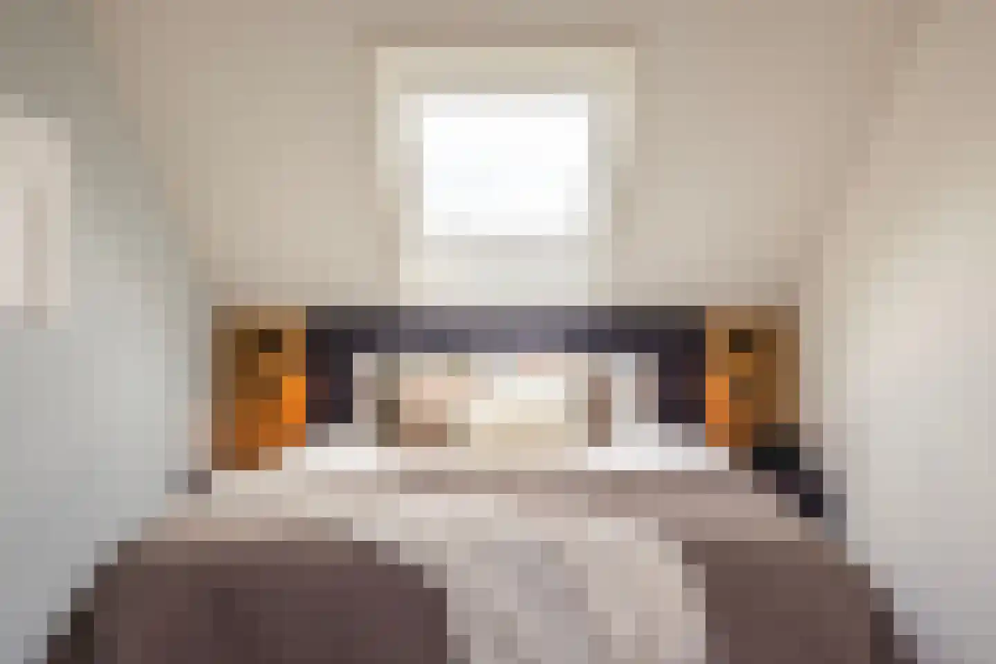 Banninkskamp 20 Borculo thumbnail 34