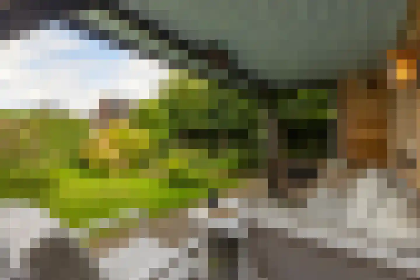 Banninkskamp 20 Borculo thumbnail 36