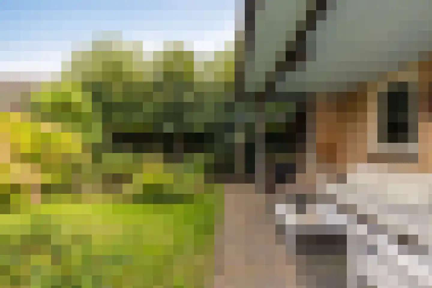 Banninkskamp 20 Borculo thumbnail 39
