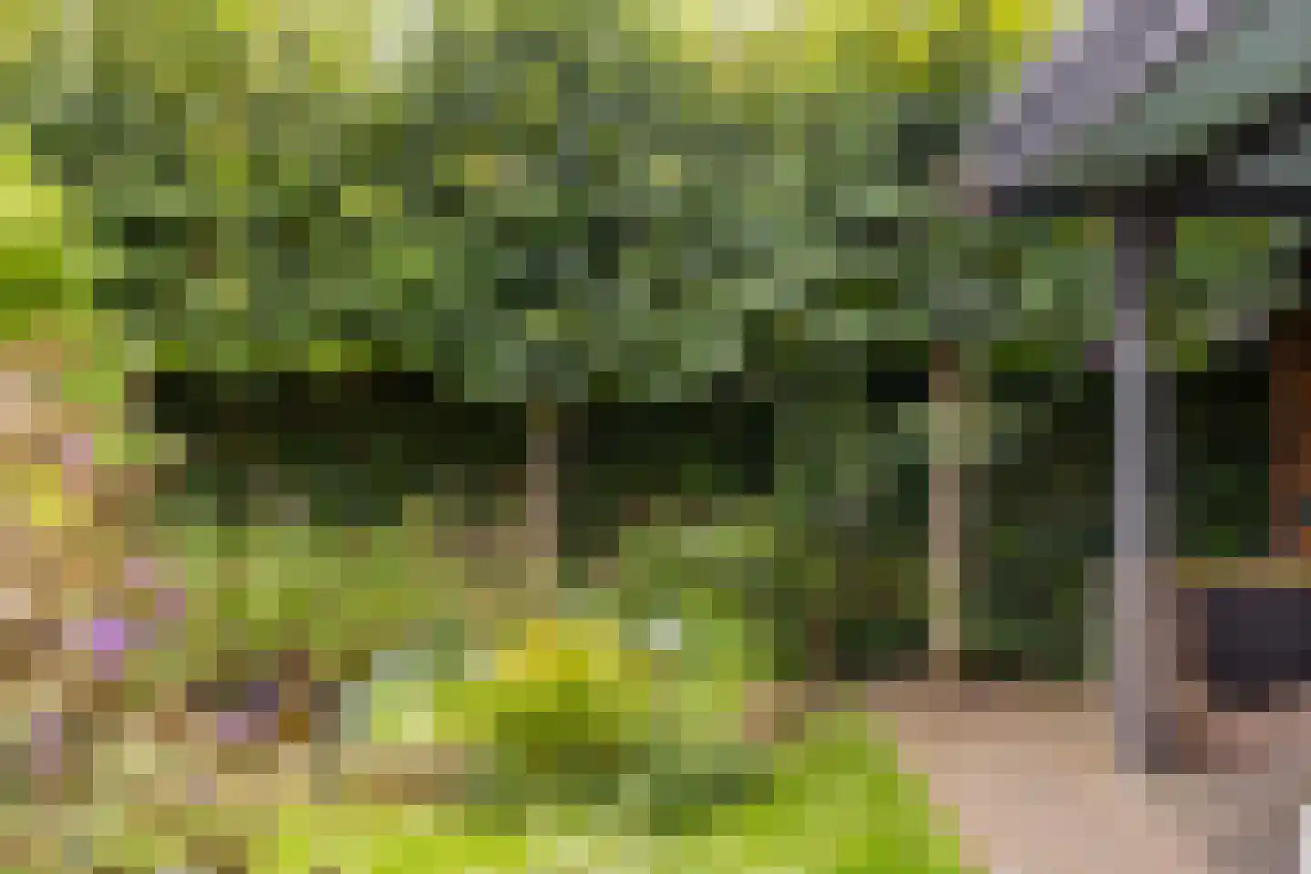 Banninkskamp 20 Borculo thumbnail 40
