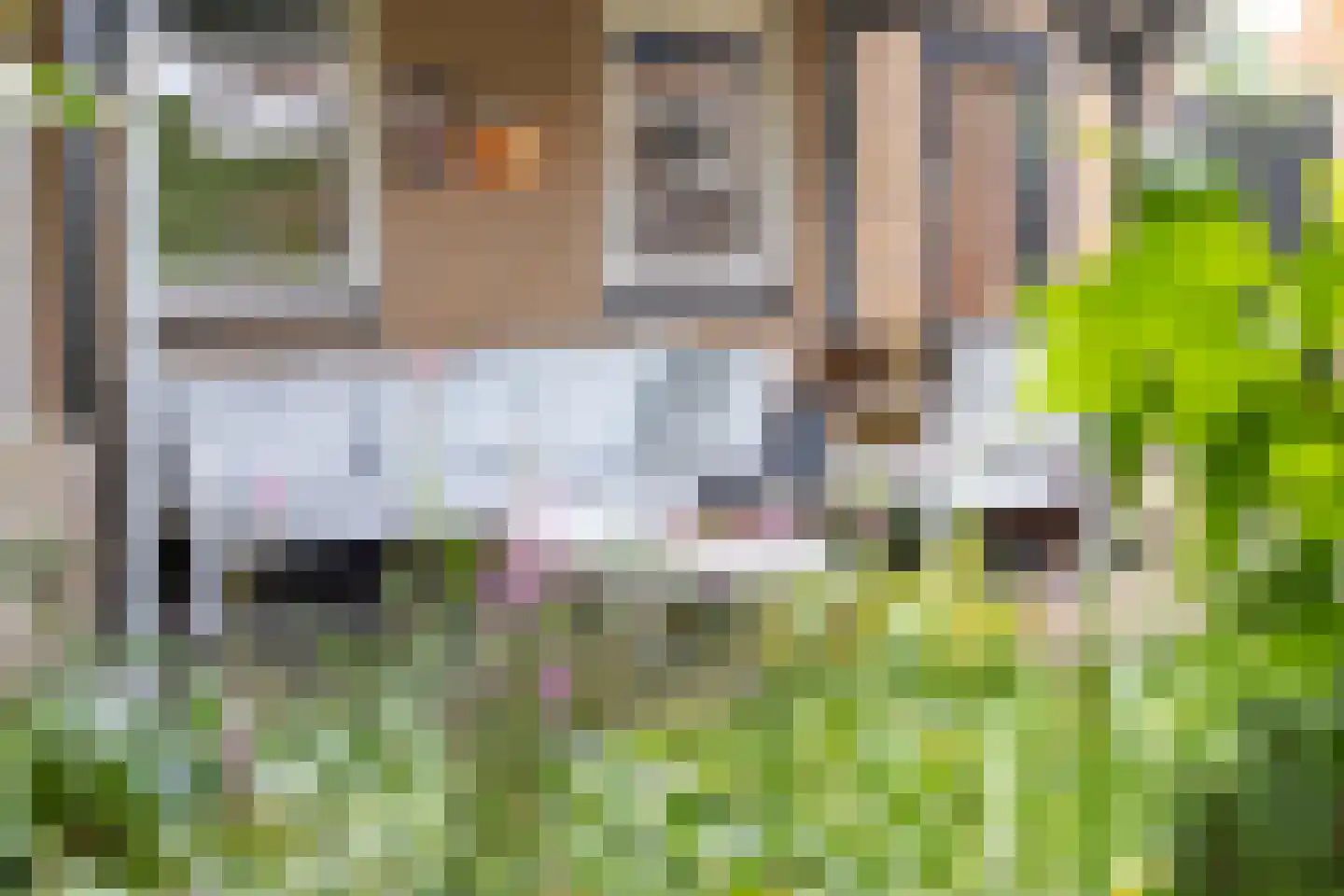 Banninkskamp 20 Borculo thumbnail 47