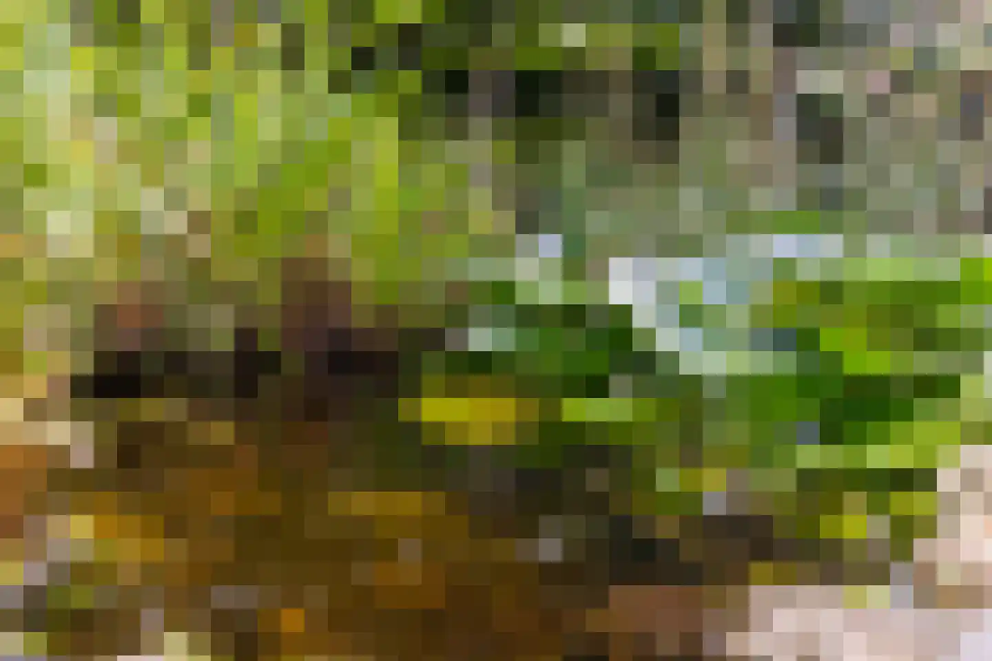 Banninkskamp 20 Borculo thumbnail 48