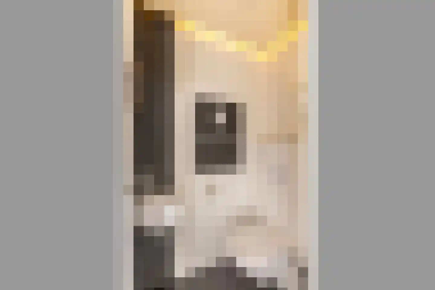 Banninkskamp 20 Borculo thumbnail 9