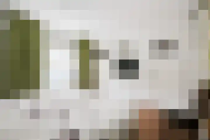 Banninkstraat 14 Hengelo (Gld) thumbnail 31