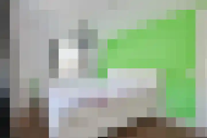 Banninkstraat 14 Hengelo (Gld) thumbnail 37