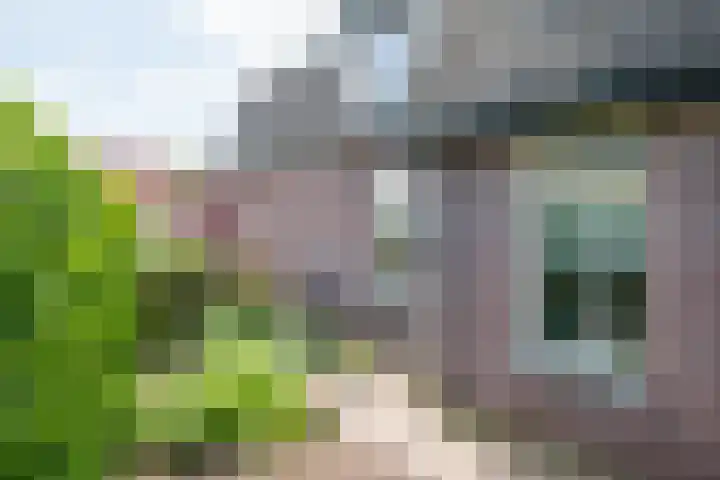 Banninkstraat 14 Hengelo (Gld) thumbnail 55