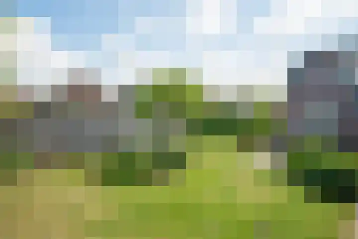 Banninkstraat 14 Hengelo (Gld) thumbnail 60