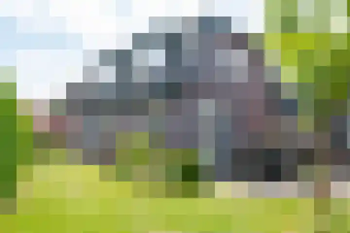 Banninkstraat 14 Hengelo (Gld) thumbnail 62