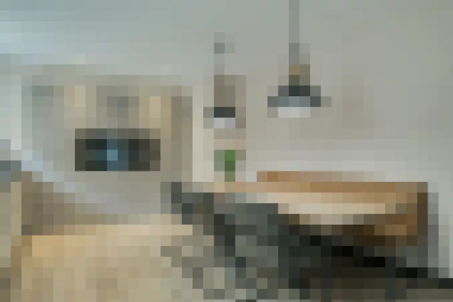 Banninkstraat 3 Hengelo (Gld) thumbnail 15
