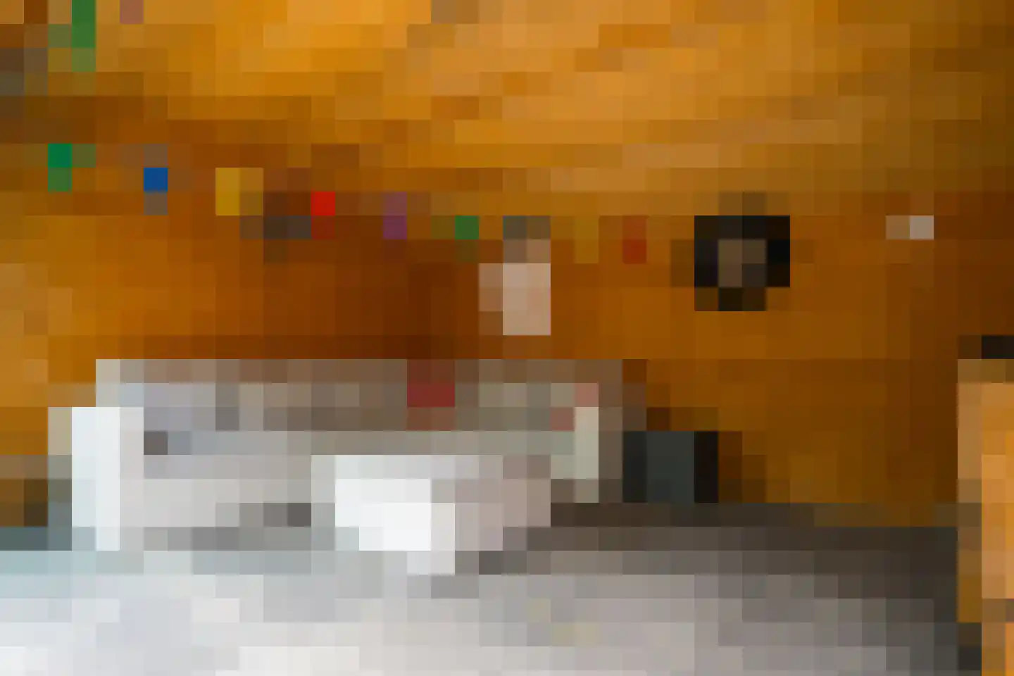 Banninkstraat 3 Hengelo (Gld) thumbnail 51