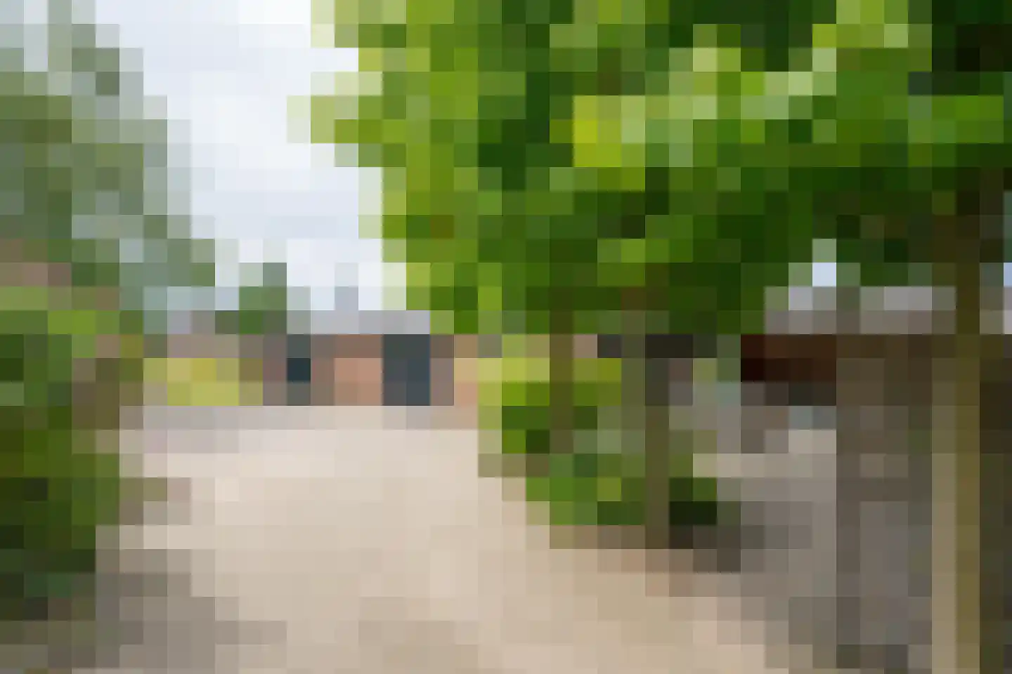 Banninkstraat 3 Hengelo (Gld) thumbnail 52