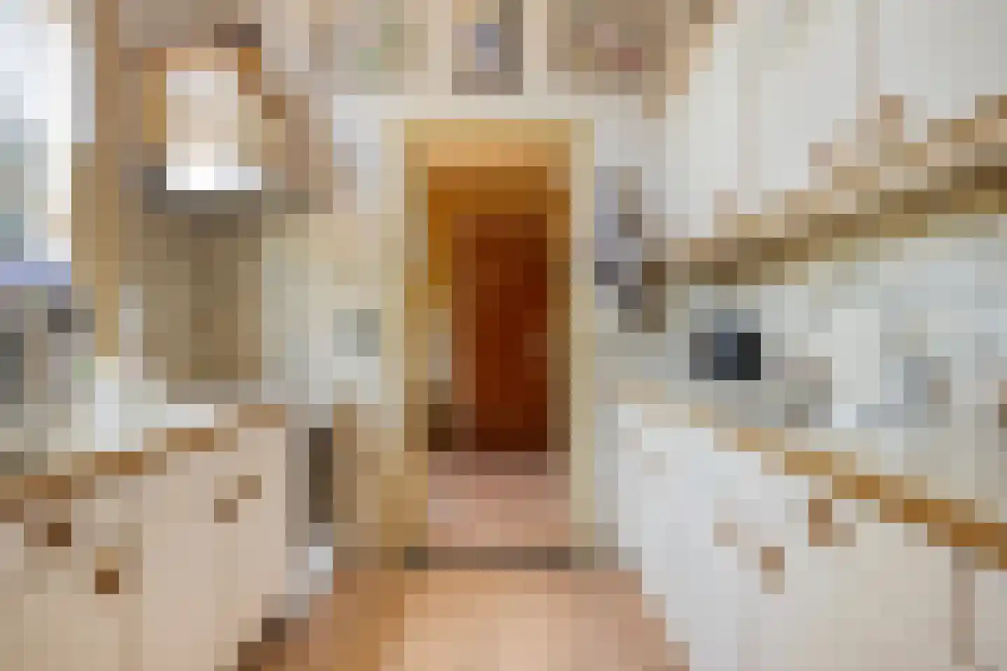 Banninkstraat 44 Hengelo (Gld) thumbnail 15