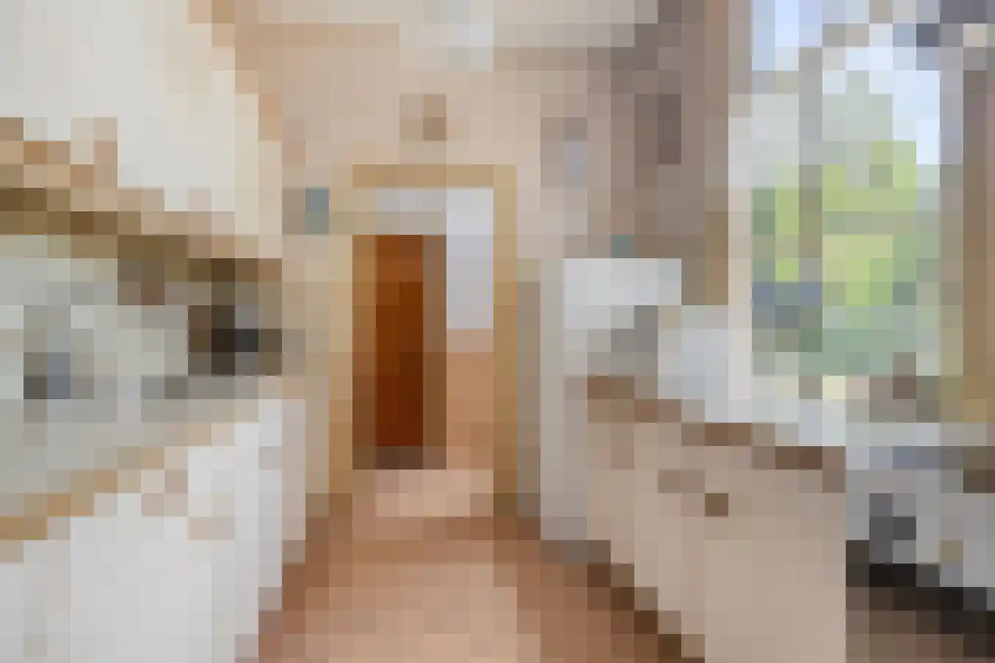 Banninkstraat 44 Hengelo (Gld) thumbnail 16