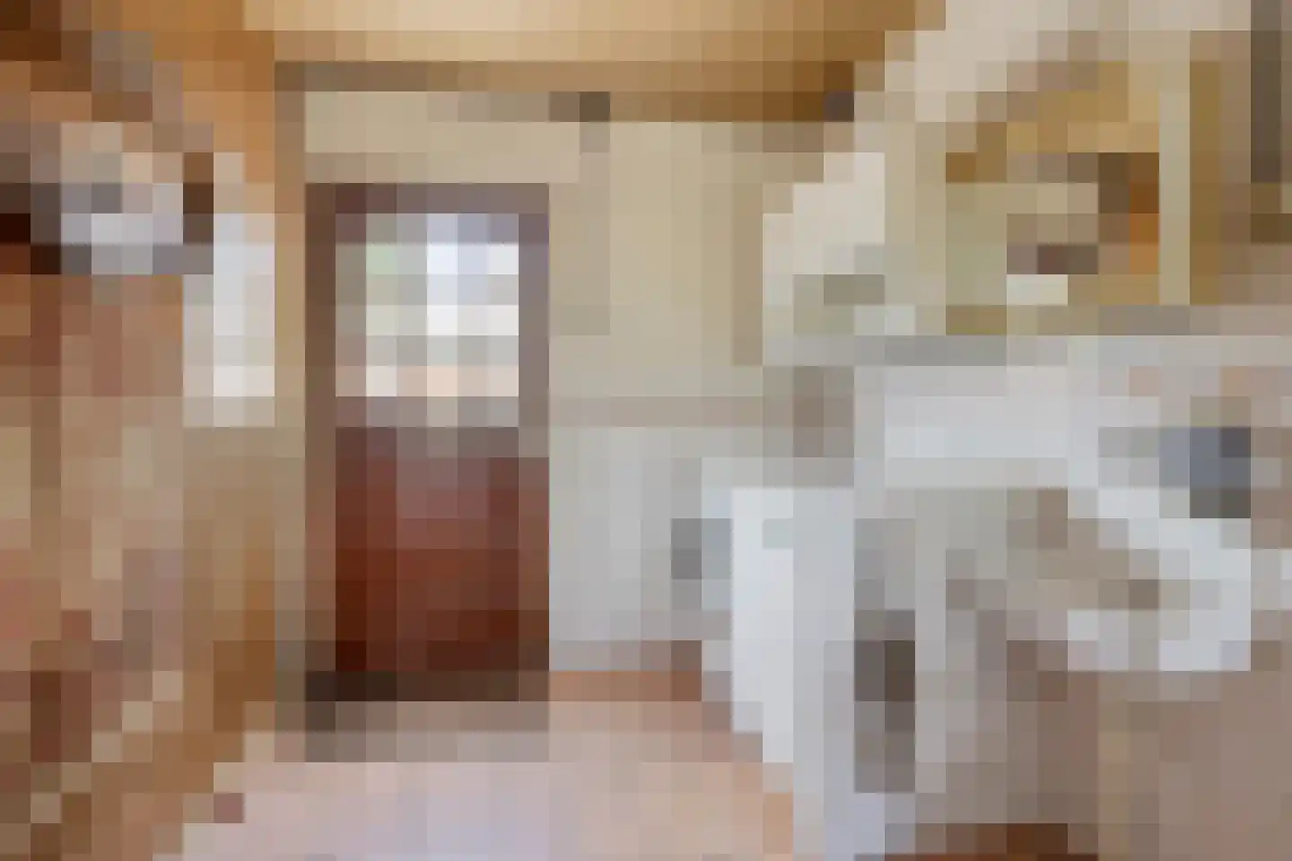 Banninkstraat 44 Hengelo (Gld) thumbnail 17