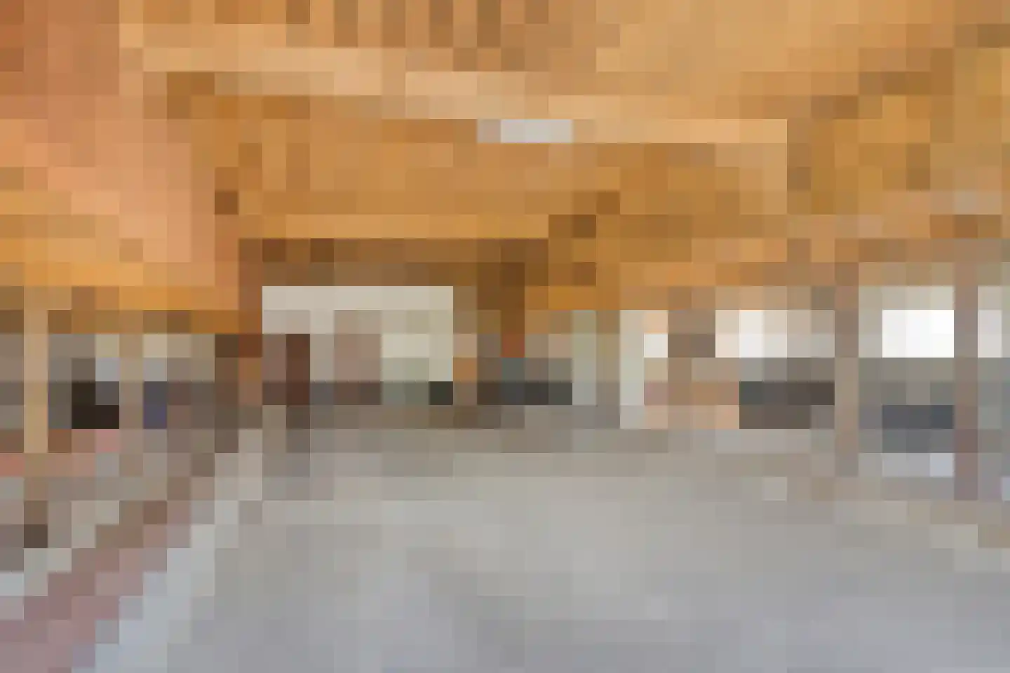 Banninkstraat 44 Hengelo (Gld) thumbnail 23