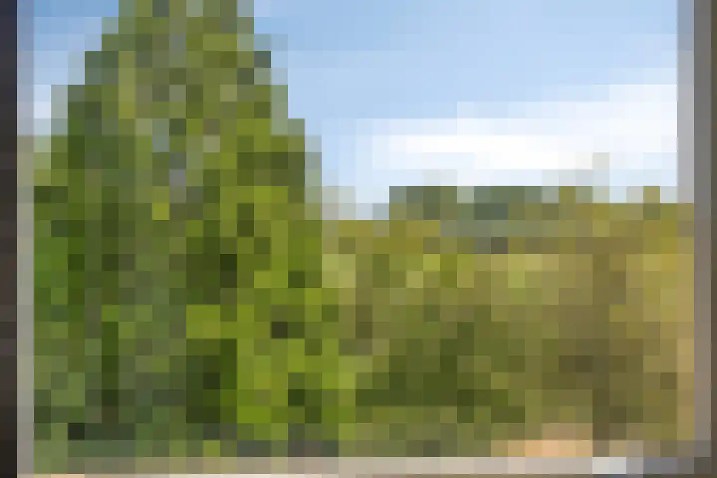 Banninkstraat 44 Hengelo (Gld) thumbnail 33