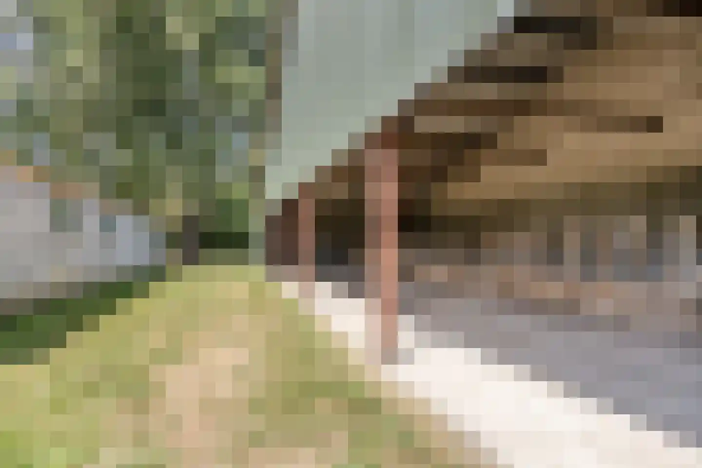 Banninkstraat 44 Hengelo (Gld) thumbnail 44
